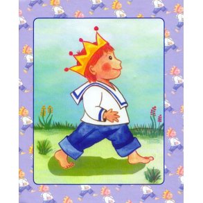 Babybog - barnets personlige bog til drenge