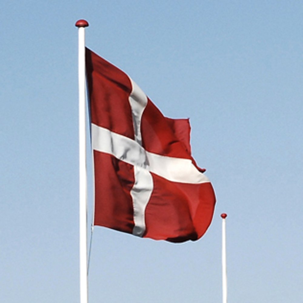 en kreditor teenagere vil gøre Flagpakke - Dannebrogsflag til 7-9 meter flagstang - Flag& Vimpler -  Bæklund Design ApS