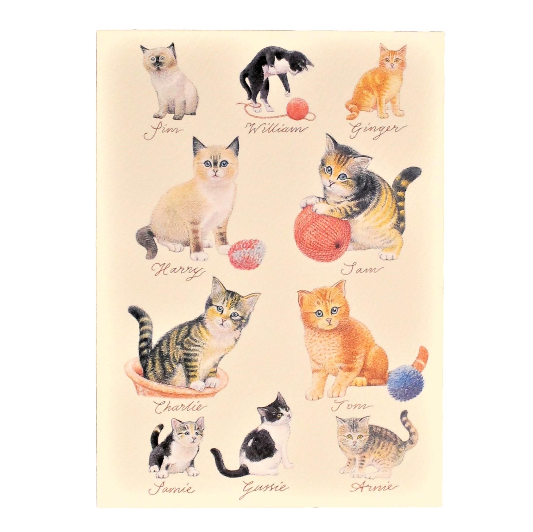 Kort med i gaven Kort Nr. 8