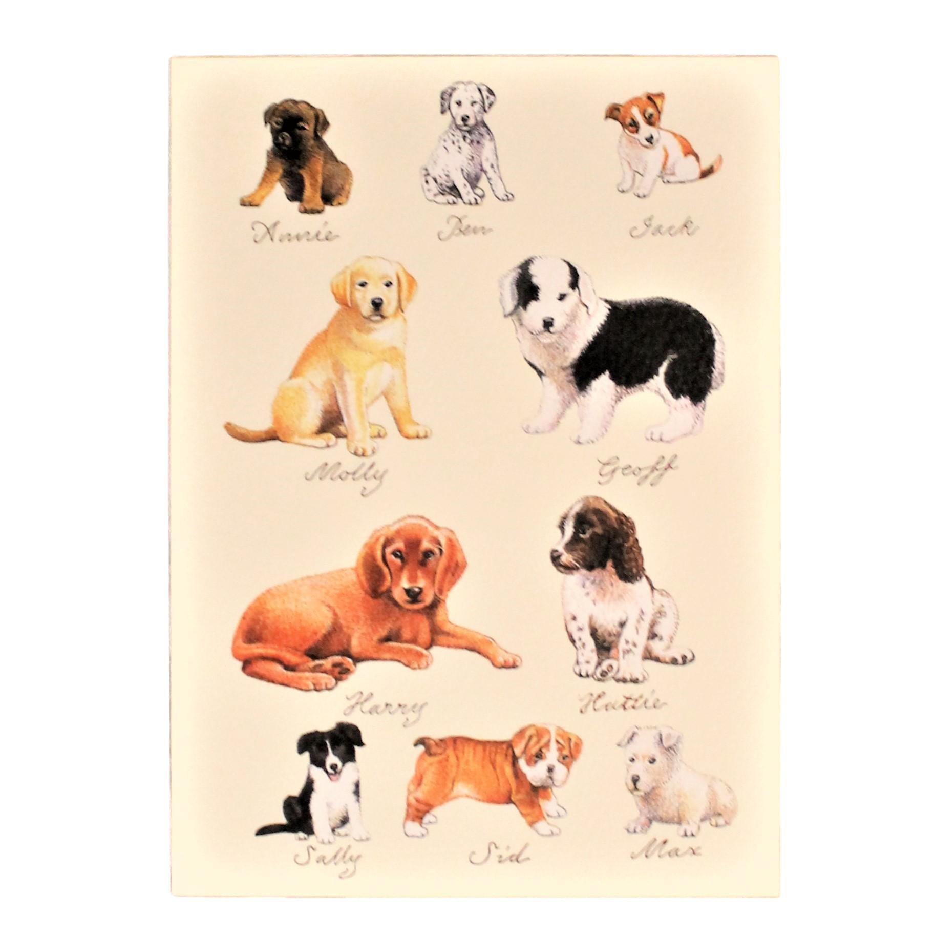 Kort med i gaven Kort Nr. 9