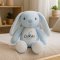 Personlig Kanin bamse, Lysebl, Med navn