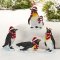 4 stk. Pingviner i sneen
